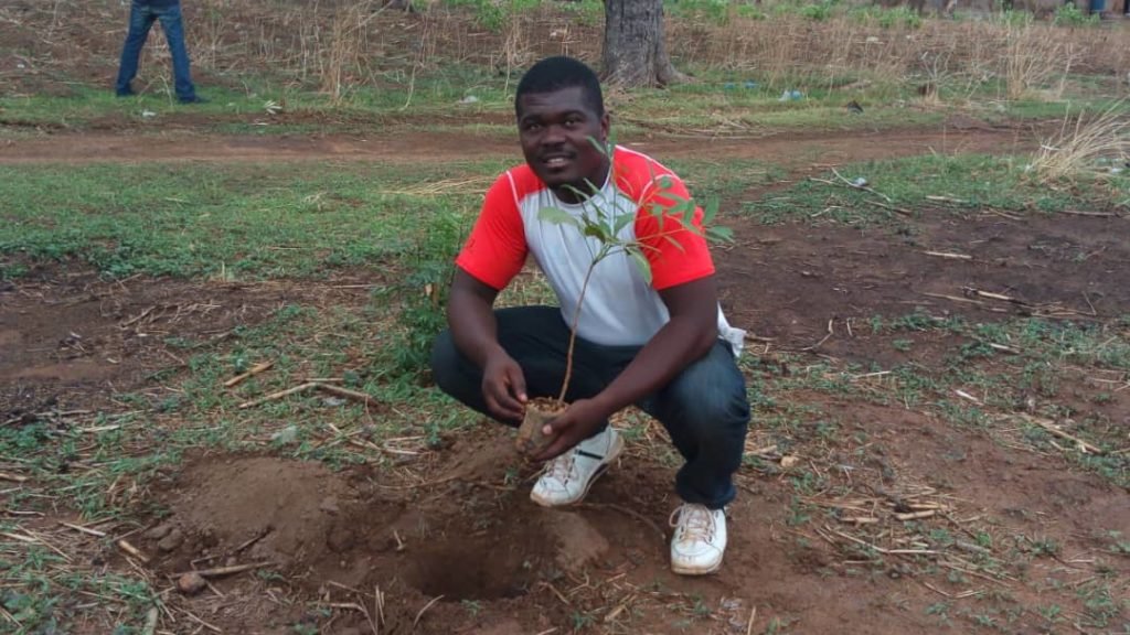 Mise en terre des plants