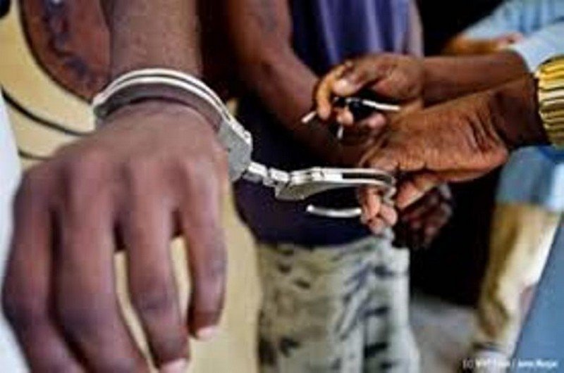 Fête de Tabaski : 4 Individus arrêtés pour vol de mouton au Bénin