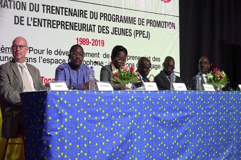 Programme de Promotion de l’Entrepreneuriat des Jeunes (PPEJ)