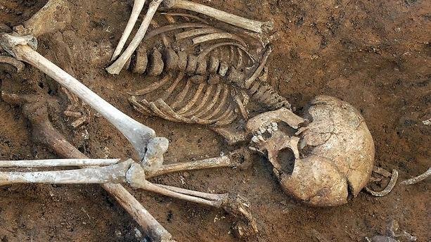 Un réseau de trafiquants de restes humains démantelé à Tsévié