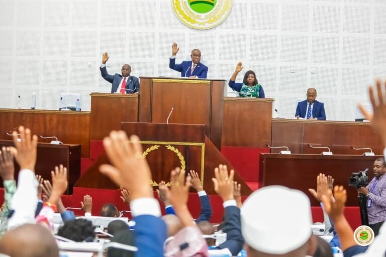 Les députés valident une réforme sur le Gazoduc de l’Afrique de l’Ouest