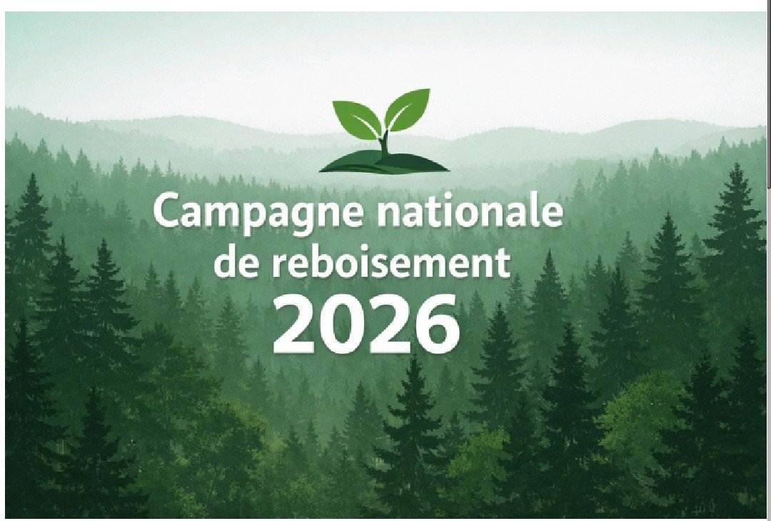 1er juin 2026: Lancement de la campagne nationale de reboisement 2026